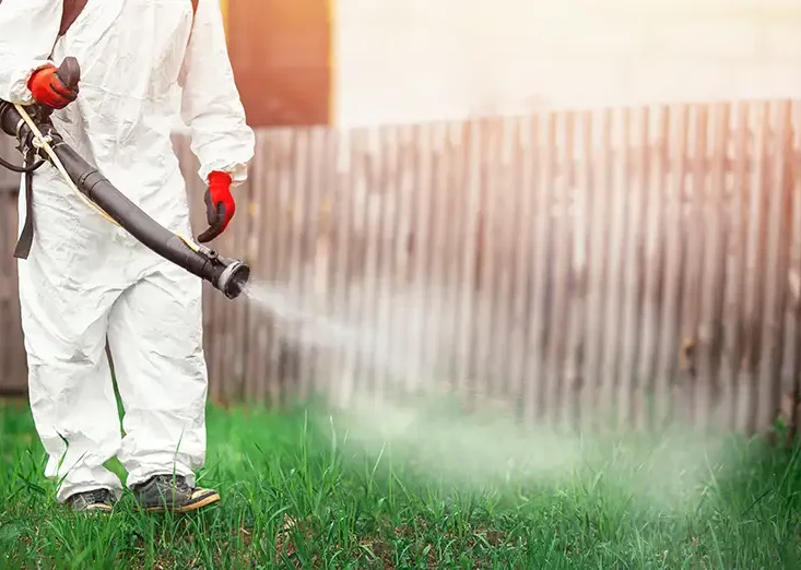 CanAm Professional Landscaping - spraying for mosquitos and ticks, lawn care, safety - Girard, IL