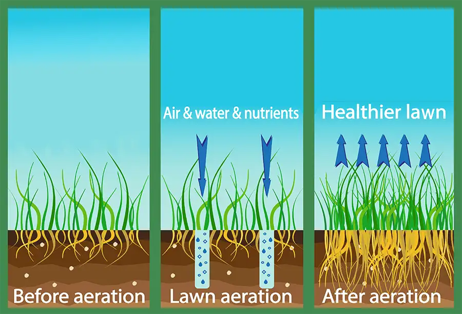 Aeration diagram for lawn care - Girard, IL