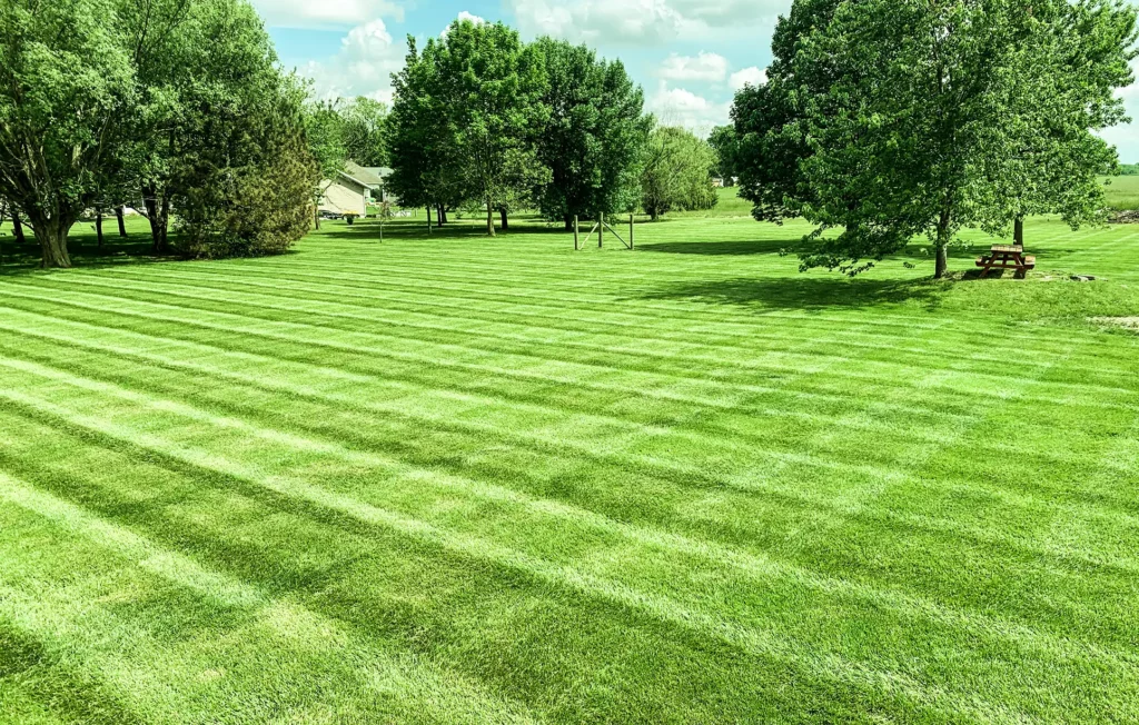 CanAm Professional Landscaping - beautifully manicured grass, lawn care - Girard, IL