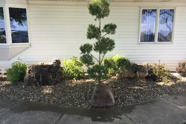 CanAm Professional Landscaping - rock plant bed with tree landscaping project - Girard, IL